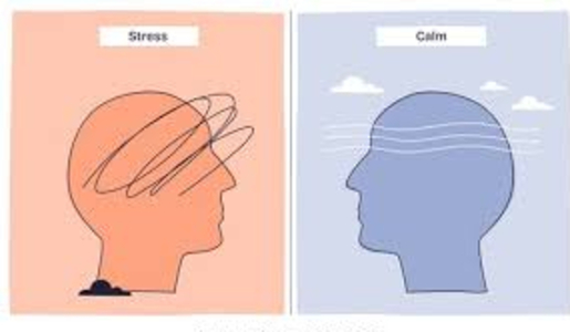 Apaisement du système nerveux grâce à la brain therapy et l’intégration des réflexes archaïques à Ploërmel et Val d’Anast.